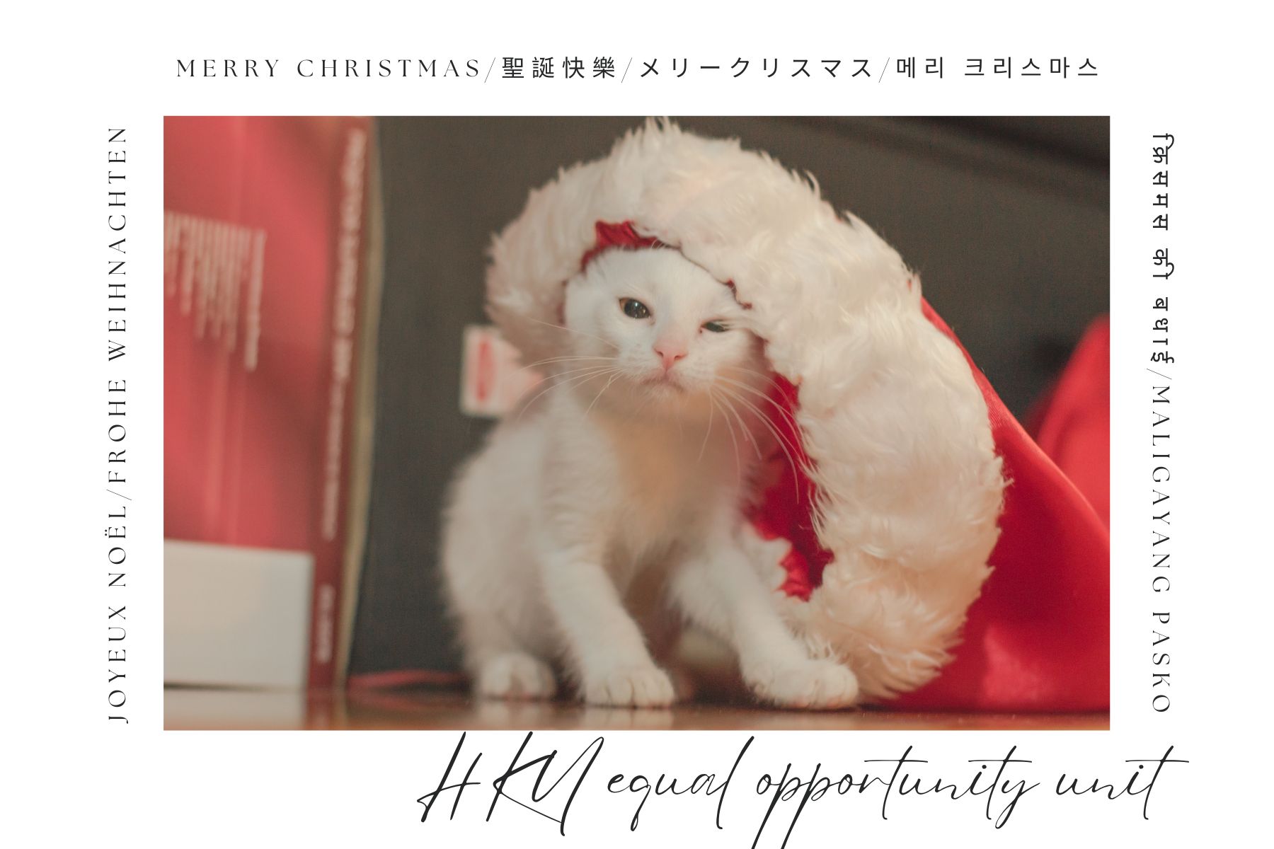 Christmas e-card designed by EOSA